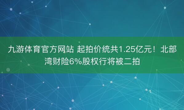 九游体育官方网站 起拍价统共1.25亿元！北部湾财险6%股权行将被二拍