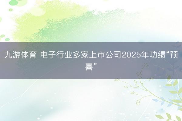 九游体育 电子行业多家上市公司2025年功绩“预喜”