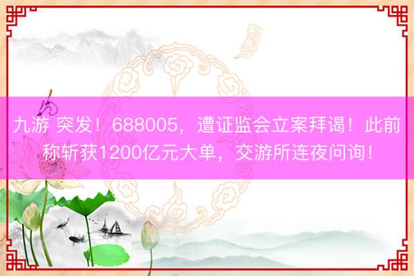 九游 突发！688005，遭证监会立案拜谒！此前称斩获1200亿元大单，交游所连夜问询！