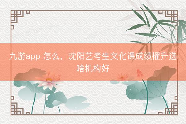九游app 怎么，沈阳艺考生文化课成绩擢升选啥机构好