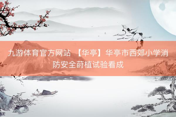 九游体育官方网站 【华亭】华亭市西郊小学消防安全莳植试验看成