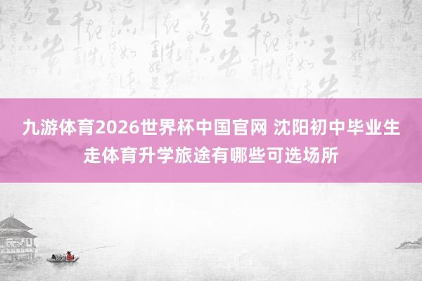 九游体育2026世界杯中国官网 沈阳初中毕业生走体育升学旅途有哪些可选场所