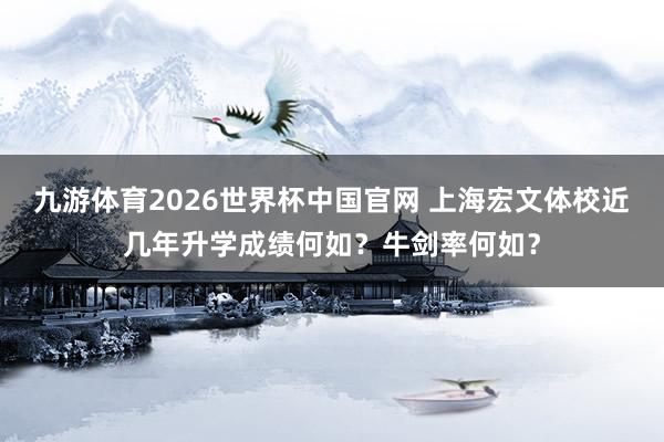 九游体育2026世界杯中国官网 上海宏文体校近几年升学成绩何如？牛剑率何如？