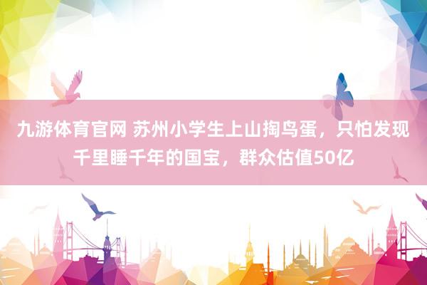 九游体育官网 苏州小学生上山掏鸟蛋，只怕发现千里睡千年的国宝，群众估值50亿