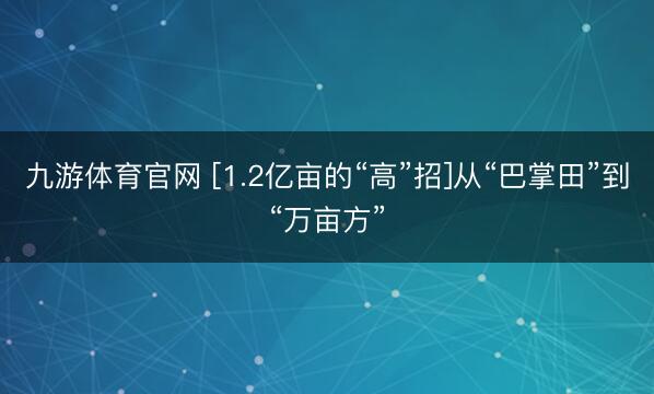 九游体育官网 [1.2亿亩的“高”招]从“巴掌田”到“万亩方”