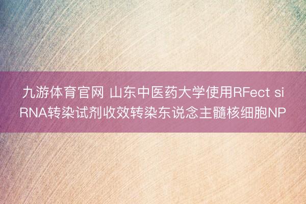 九游体育官网 山东中医药大学使用RFect siRNA转染试剂收效转染东说念主髓核细胞NP