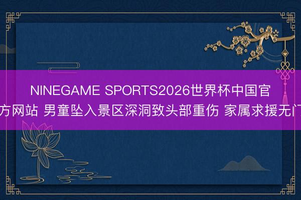 NINEGAME SPORTS2026世界杯中国官方网站 男童坠入景区深洞致头部重伤 家属求援无门