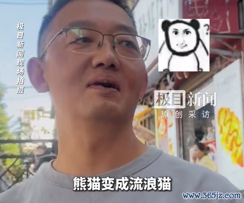 从“熊猫”变“流浪猫”！家长自嘲孩子高考后家庭地位下跌 