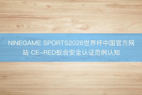 NINEGAME SPORTS2026世界杯中国官方网站 CE-RED蚁合安全认证范例认知